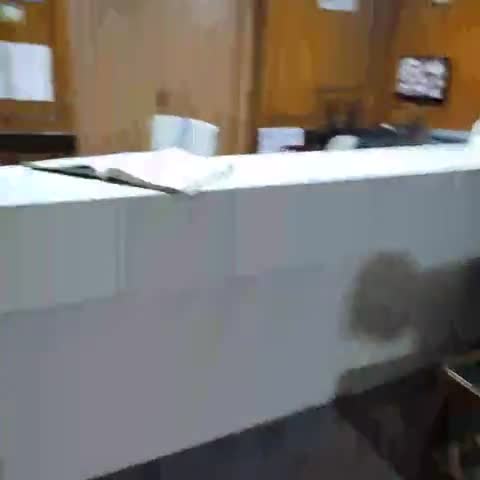 Hotel Mayur - Traveller Photo