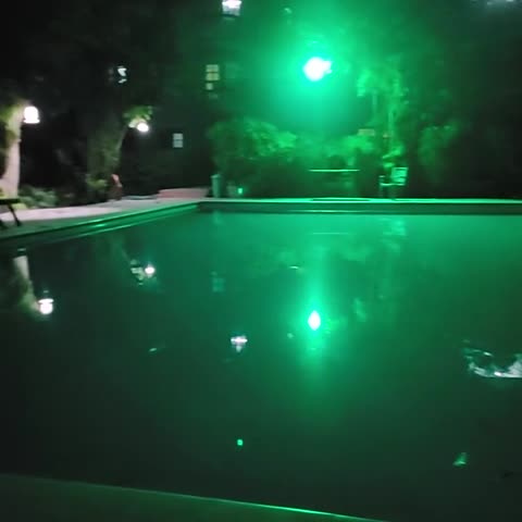 Green Park Resort - Traveller Photo