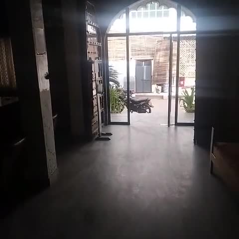 Madpackers Pushkar Rooms|Dorms  - Traveller Photo