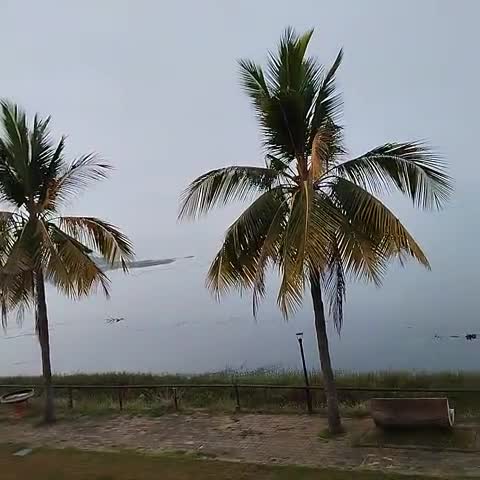 Hotel River Bay - Traveller Photo
