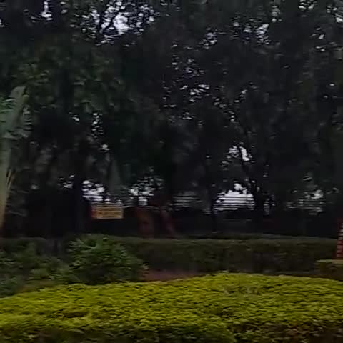 Pandu Pokhar Eco Adventure Resort - Traveller Photo