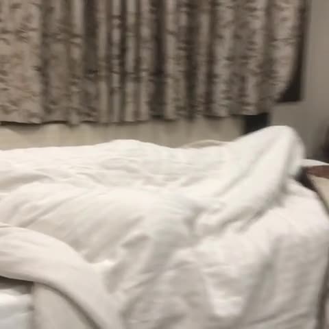 Hotel City Inn - Traveller Photo