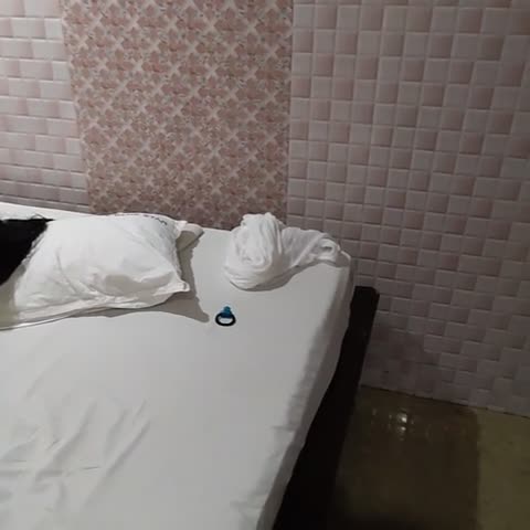 Hotel Blue Star - Traveller Photo