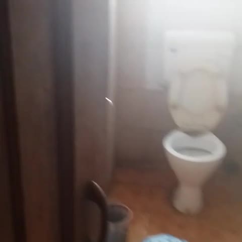 Hotel Gujarat - Traveller Photo