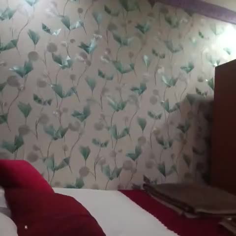 Hotel Meera Ranchi - Traveller Photo