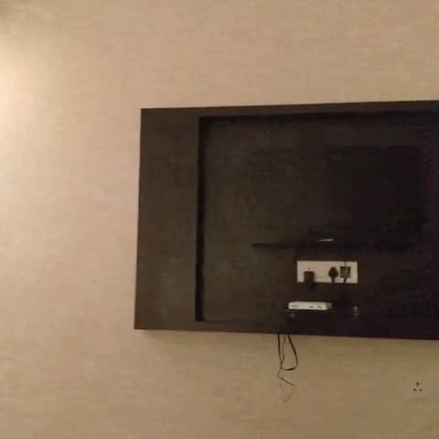 Hotel Pearl Regency - Traveller Photo
