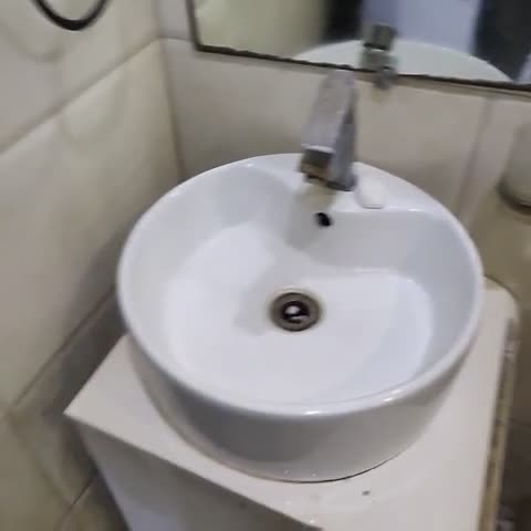 Shree Balaji Palace Hotel - Traveller Photo