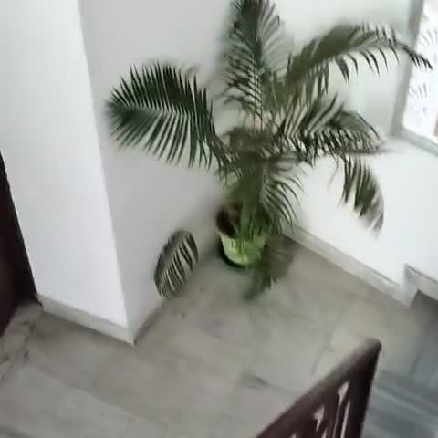 Hotel Gangesh Rishikesh - Traveller Photo