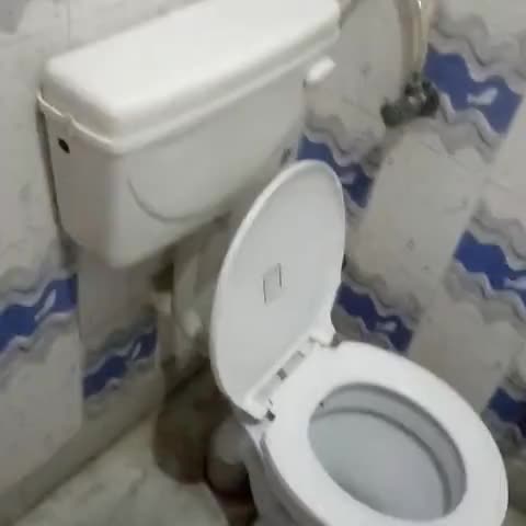 Hotel Gautam - Traveller Photo