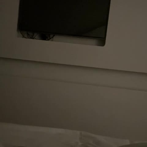 Hotel Ramaya - Traveller Photo