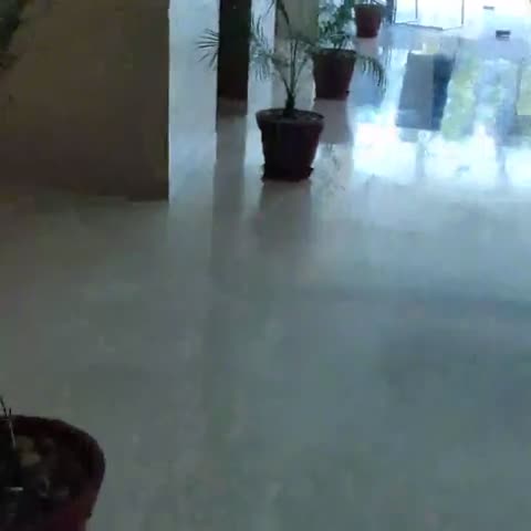 Hometel Roorkee - A Sarovar Hotel - Traveller Photo