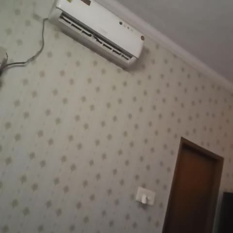 SWEET HOME - Traveller Photo