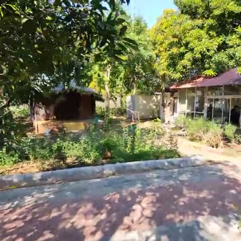 Gir Jungle Lodge - Traveller Photo