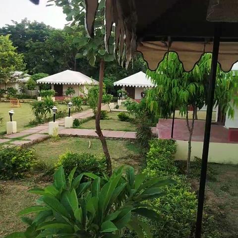 White Mushroom Hotel - Jungle Cave - Traveller Photo