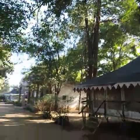 Ranthambore Tiger Machan Resort - Traveller Photo