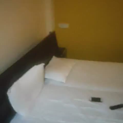 Hotel Parvati Palace - Traveller Photo