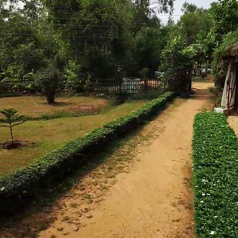 Roshnai Village Resort - Traveller Photo