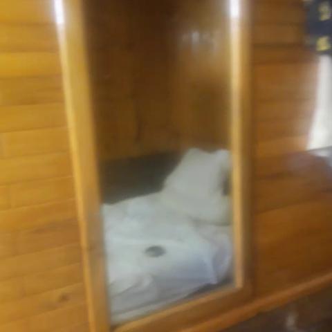 Hotel O Knight Inn - Traveller Photo