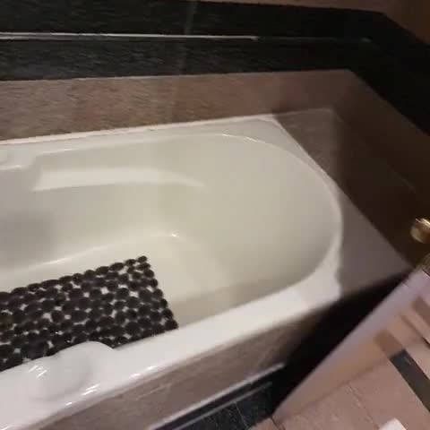 Hotel Willow Banks - Traveller Photo