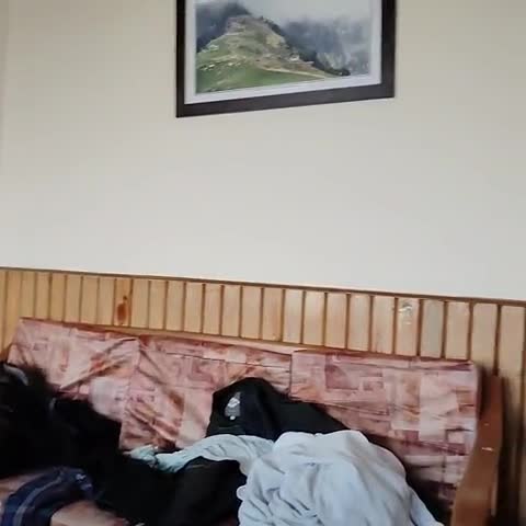 Shimla Nature Ville - Traveller Photo
