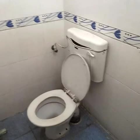 SAI VISHNU GUEST HOUSE - Traveller Photo