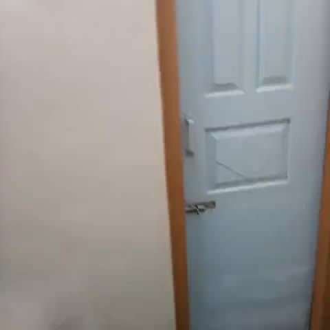Hotel Natraj - Traveller Photo