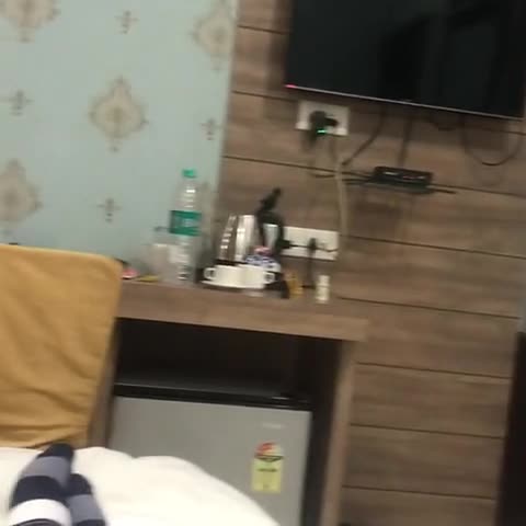 HOTEL RAJ MAHAL - Traveller Photo