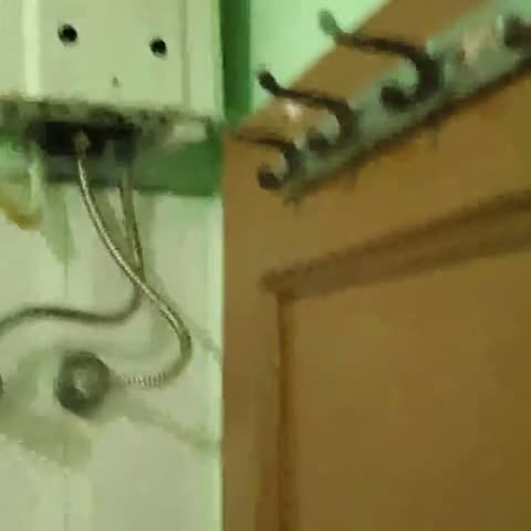 Hotel Shiv Palace - Traveller Photo