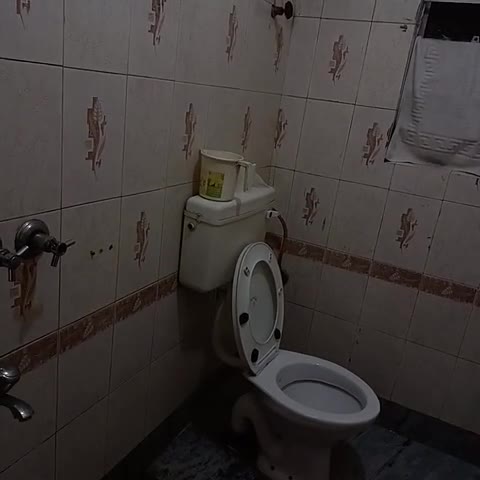 Hotel Himalayan Regency - Traveller Photo