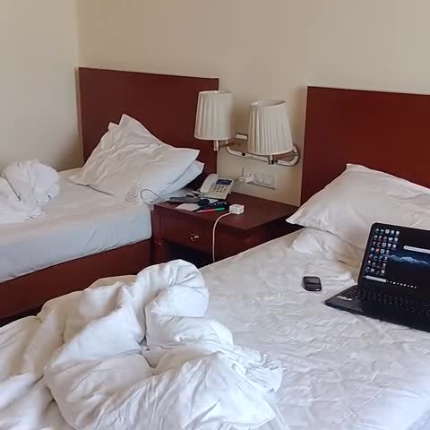 Royal Sarovar Portico - Traveller Photo