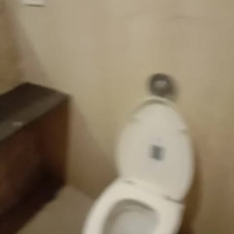 Hotel Vaishnavi - Traveller Photo
