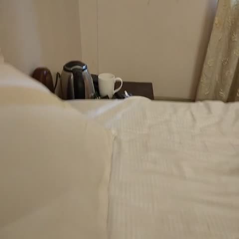 Lake Side Resort Neermahal - Traveller Photo