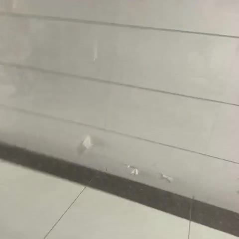 A STAR HOTEL - Traveller Photo