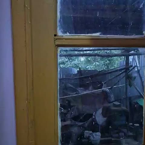 ALAMDAR GUEST HOUSE - Traveller Photo