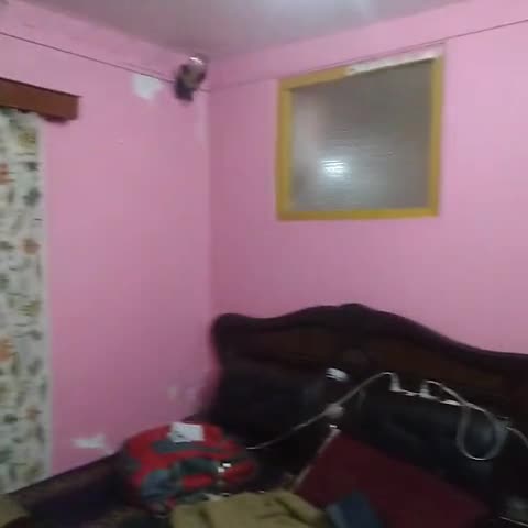 licasguesthouse - Traveller Photo