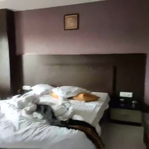 Hotel Ambiance - Traveller Photo