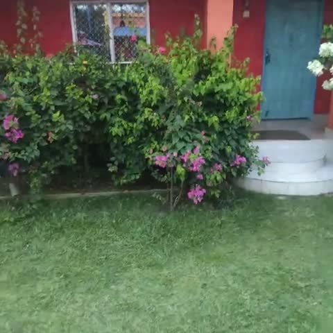 PURNI HOTEL AND RESORTS - Traveller Photo