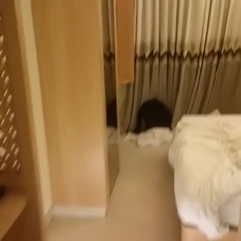 KRISHNA PALACE HOTEL - Traveller Photo