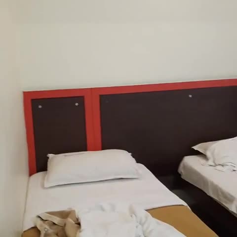  Abi's Inn - Traveller Photo