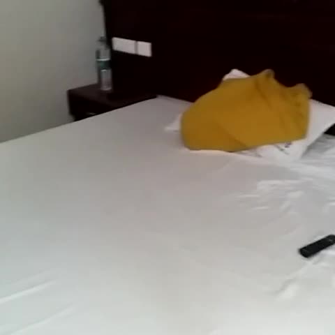 Hotel Balaji Inn - Traveller Photo