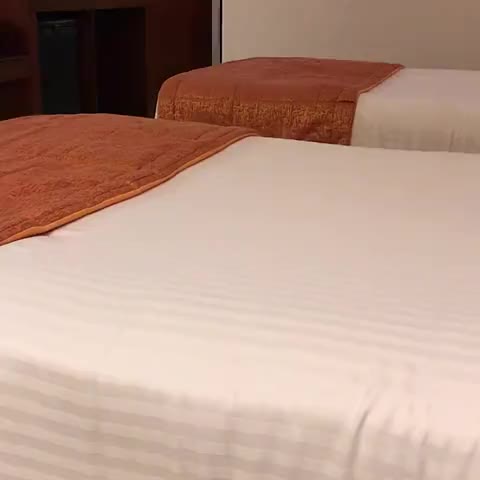Sangam Hotel - Traveller Photo