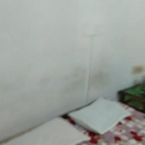 Blessdale Homestay - Traveller Photo