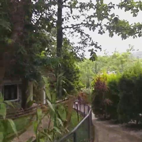 Hotel Treetop - Traveller Photo