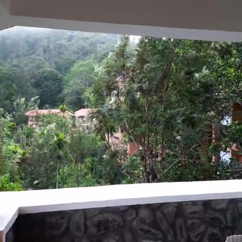 Oxygen Resorts Thekkady - Traveller Photo