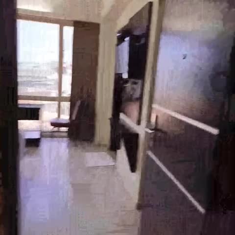Pattom Royal Hotel - Traveller Photo