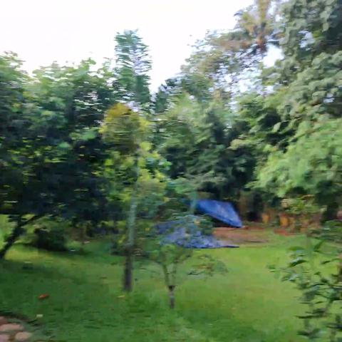 Casa Rio Resort Athirapilly - Traveller Photo