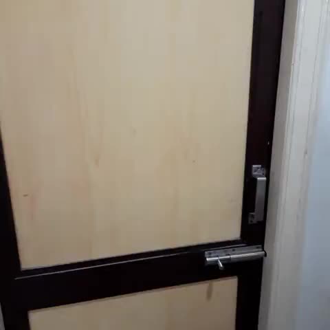 Hotel Bhanu Residency - Traveller Photo