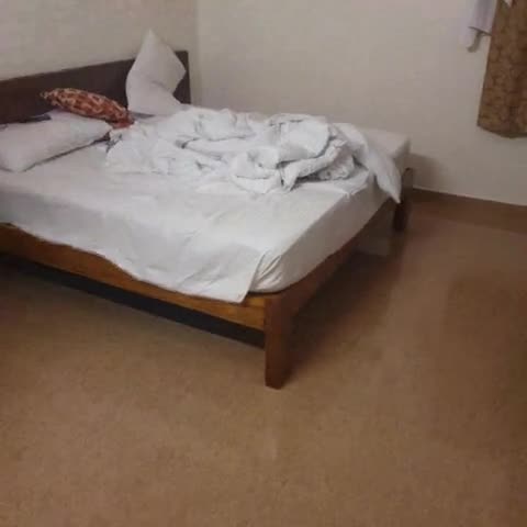 Bhavana Homestay | Entire Apartment Units - Traveller Photo