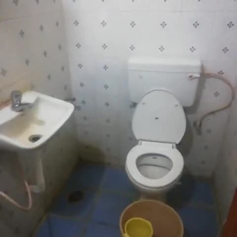 Hotel Agarala Residency - Traveller Photo