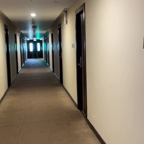 Renest Tirupati (formerly known as Vihas Hotel Tirupati) - Traveller Photo